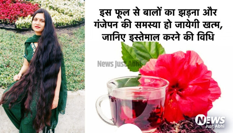 इस चमत्कारी फूल से बालों का झड़ना और गंजेपन की समस्या हो जाएगी खत्म, जानिए इसे इस्तेमाल करने का सही तरीका ☉!