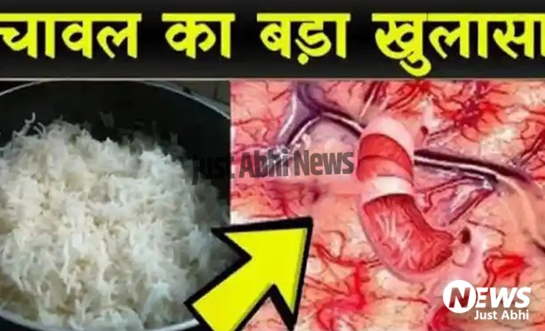 चावल के शौकीन जरूर जान लें इसके ये भयंकर नुकसान… हिल जाएगा आपका दिमाग ☉! चावल के शौकीन जरूर जान लें इसके ये भयंकर नुकसान… हिल जाएगा आपका दिमाग ☉!