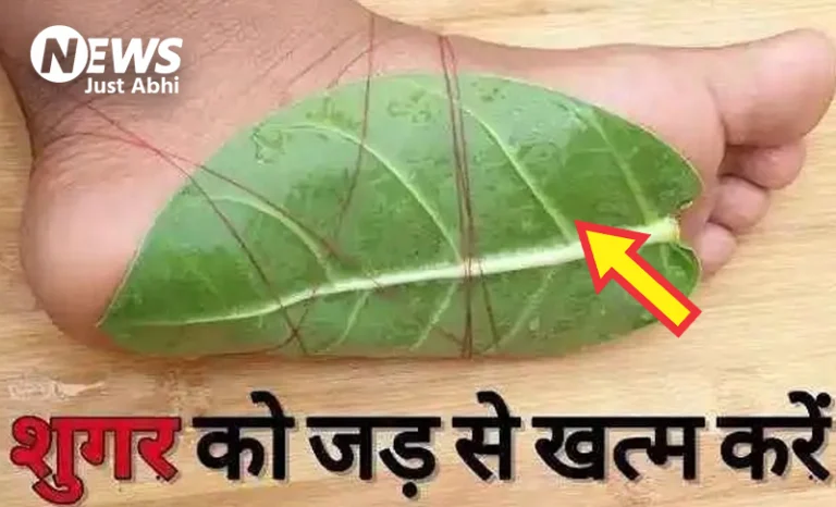 लो जी आखिर मिल गया इस बिमारी का इलाज, इस पत्ते को रात में अपने पैर पर लगा लें जड़ से खत्म हो जाएगी शुगर जैसी गंभीर बीमारी ∘∘! लो जी आखिर मिल गया इस बिमारी का इलाज, इस पत्ते को रात में अपने पैर पर लगा लें जड़ से खत्म हो जाएगी शुगर जैसी गंभीर बीमारी ∘∘!