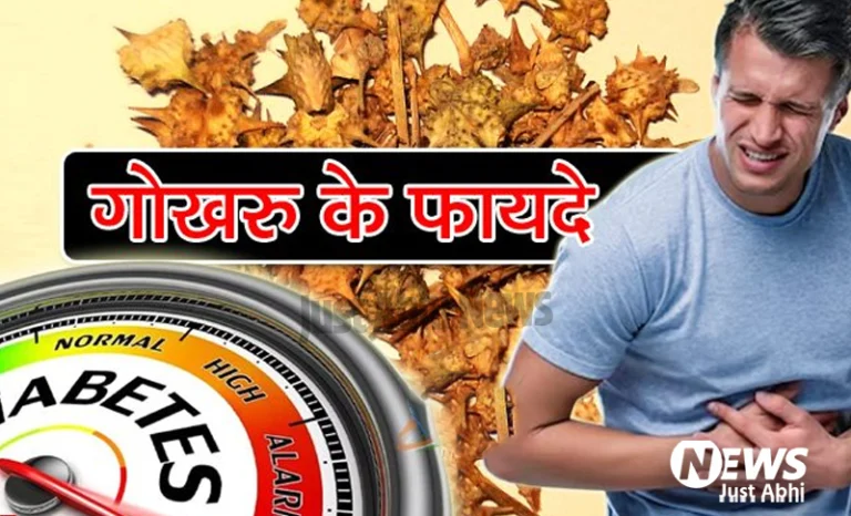 गोखरू के सेवन करने से पुरुषों को मिलते हैं यह फायदे.. जानिये गोखरू के फायदे ⤙!