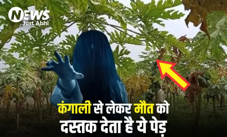 मौत को बुलावा देता है पेड़। भूलकर भी कभी न लगाए इसे अपने घर के बाहर। कंगाली से लेकर मौत तक को देता है दस्तक  ∘∘!