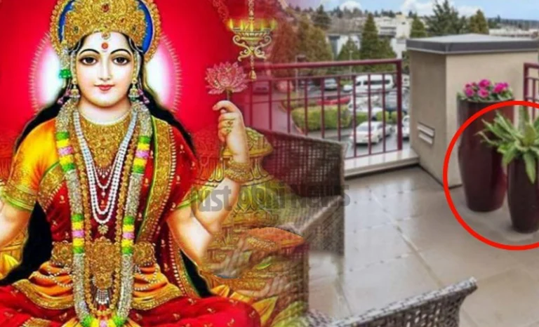 कभी भूलकर भी घर की छत पर ना रखें ये चीजें, रुक जाती है तरक्की और मां लक्ष्मी भी रूठ जाती है ∘∘!