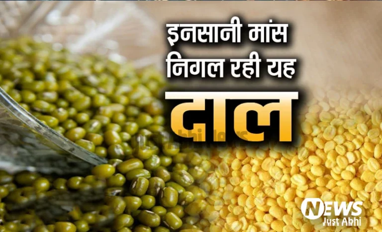 मांसाहारी है यह दाल, खाने के बाद इनसान के अंदरूनी मांस को चबाती है ऐसे Moong Dal ☉! मांसाहारी है यह दाल, खाने के बाद इनसान के अंदरूनी मांस को चबाती है ऐसे Moong Dal ☉!