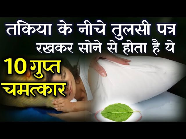 तुलसी के पांच पत्ते तकिये के नीचे रखे फिर देखे आपकी किस्मत कमाल ∘∘!