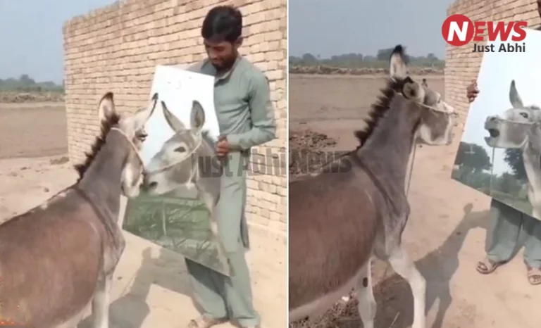 शख्स ने गधे के सामने रख दिया आईना. फिर जो हुआ देख खूब हंसोगे ˠ!