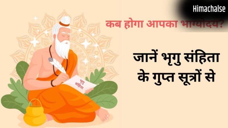 Bhrigu Samhita: किस उम्र में चमकेगी आपकी किस्मत? भृगु संहिता के गुप्त सूत्रों से जानें अपना भाग्योदय वर्ष!​