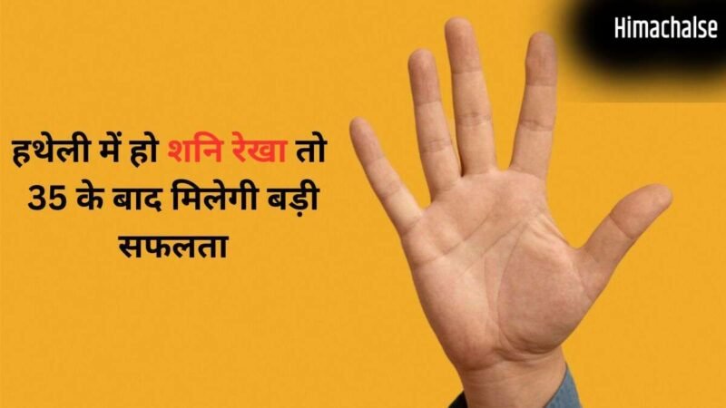 Shani Rekha: हथेली में कहां होती है शनि रेखा? हाथ में इसका होना 35 के बाद बड़ी सफलता का संकेत​