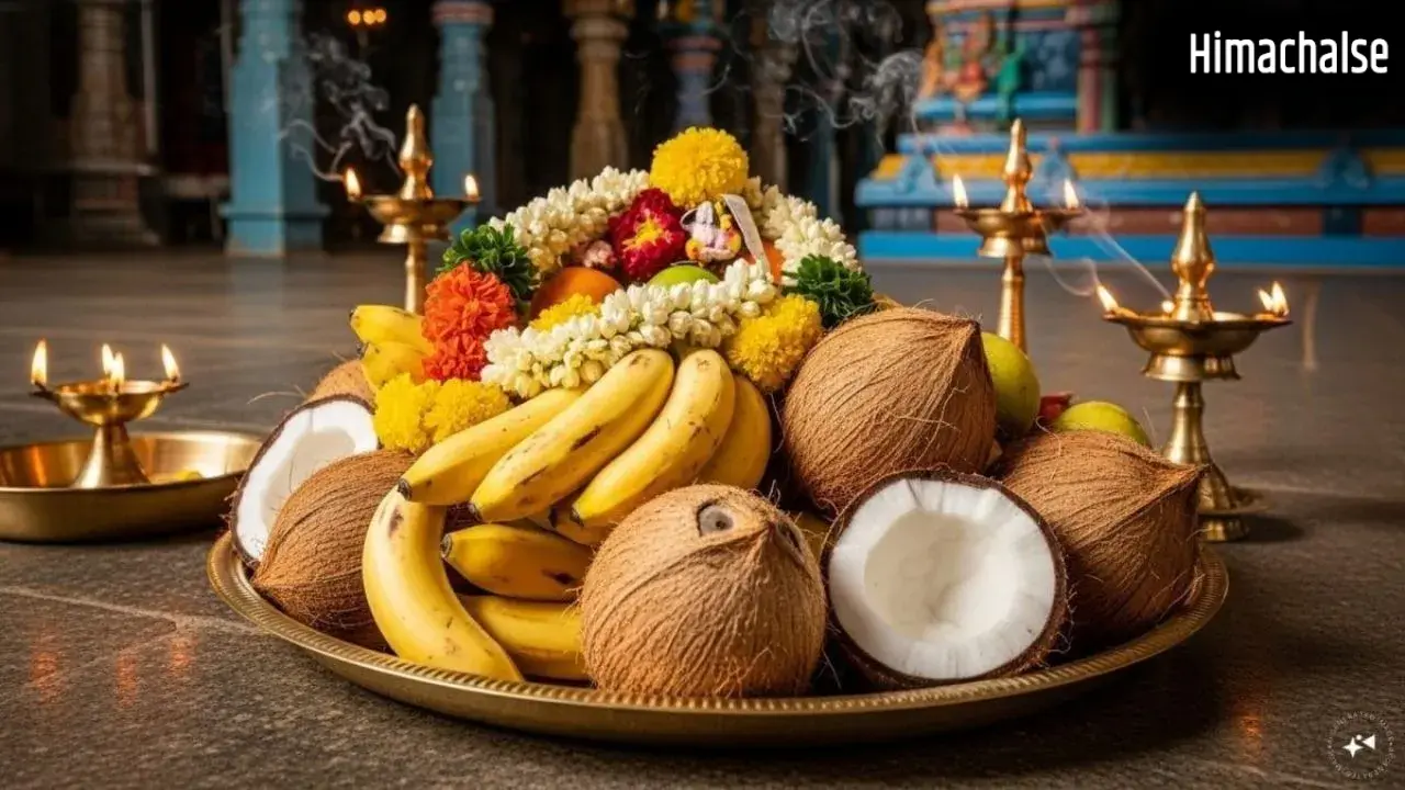 Coconut Upay: ज्योतिष और किस्मत से क्या है नारियल का कनेक्शन? जानिए कैसे मुसीबतों से बचा सकता है यह फल​