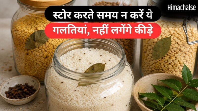 गर्मी और उमस में जल्दी खराब हो रहा है राशन, तेजपत्ता से लेकर नीम तक; कीड़ों से बचाने के ये घरेलू उपाय जानिए​