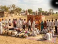 नौतपा के दिनों में ज़रूर करें इन वस्तुओं का दान, सूर्यदेव की बरसेगी कृपा, सुख-समृद्धि का मिलेगा आशीर्वाद​