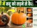 गर्मी में जल्दी गलकर कद्दू से आने लगती है बदबू, इस तरह रखें लंबे समय तक फ्रेश​