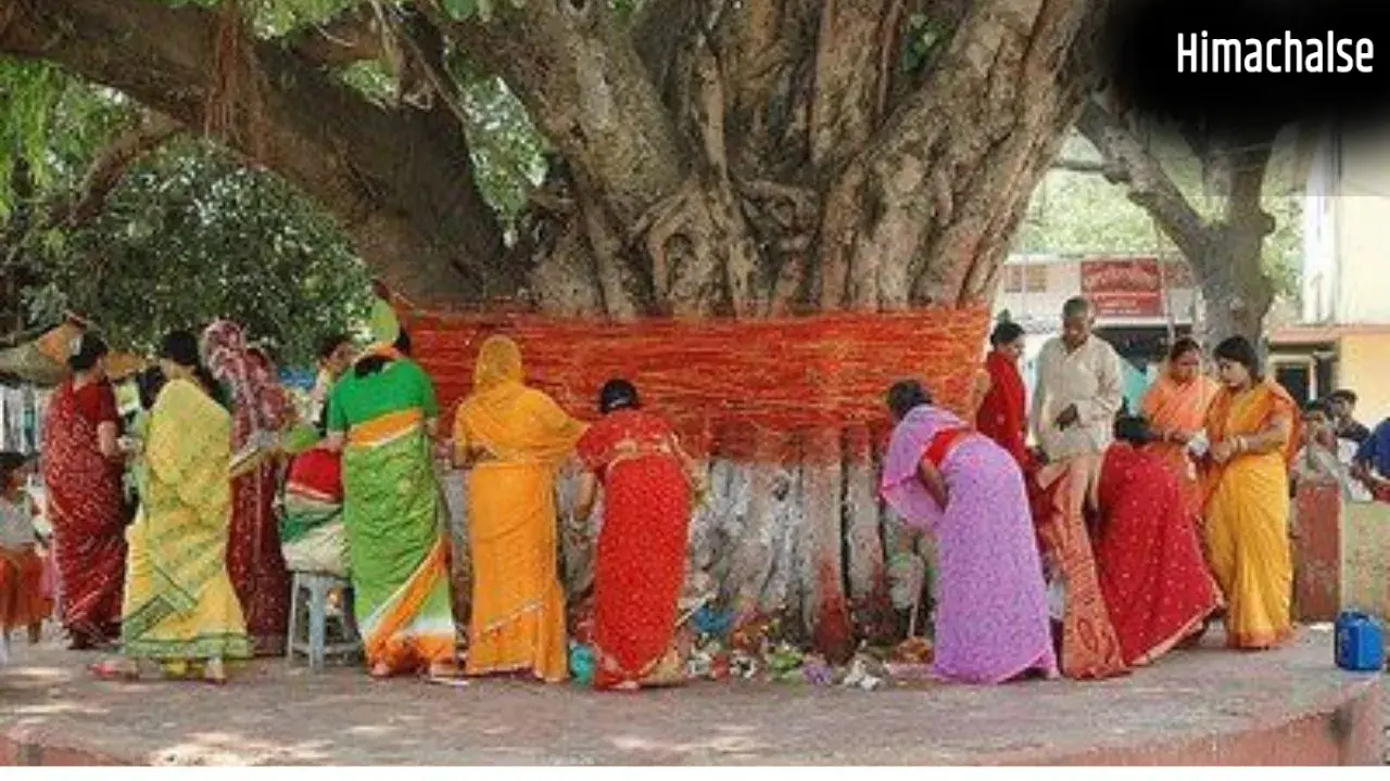 Vat Savitri: शनिवार को है वट सावित्री व्रत, ये 7 विशेष नियम तुरंत नोट कर लीजिए​