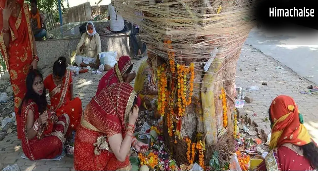 Vat Savitri Vrat Katha : आज वट सावित्री व्रत में अवश्य पढ़ें यह कथा, इसके बिना अधूरी मानी जाती है पूजा​