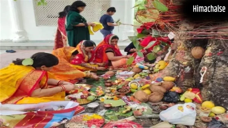 Vat Savitri: वट सावित्री के दिन चुपचाप कर लें ये 5 अचूक उपाय, जन्मों तक बना रहेगा खुशहाल साथ!​
