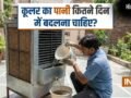 कूलर का पानी कितने दिन में बदलना चाहिए? इतने दिन में बदलने से नहीं होंगे मच्छर, मक्खी​