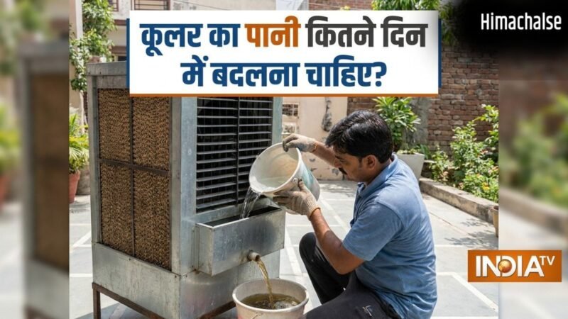 कूलर का पानी कितने दिन में बदलना चाहिए? इतने दिन में बदलने से नहीं होंगे मच्छर, मक्खी​