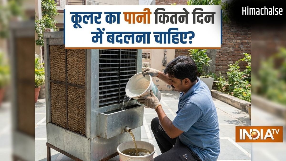 कूलर का पानी कितने दिन में बदलना चाहिए? इतने दिन में बदलने से नहीं होंगे मच्छर, मक्खी