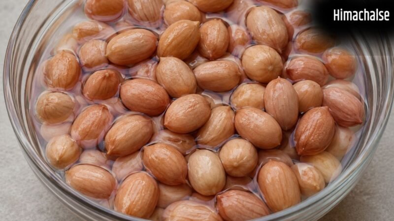 गर्मियों में मूंगफली को भिगोकर खाने से क्या क्या फायदे होते हैं?​