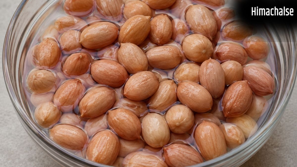 गर्मियों में मूंगफली को भिगोकर खाने से क्या क्या फायदे होते हैं?​