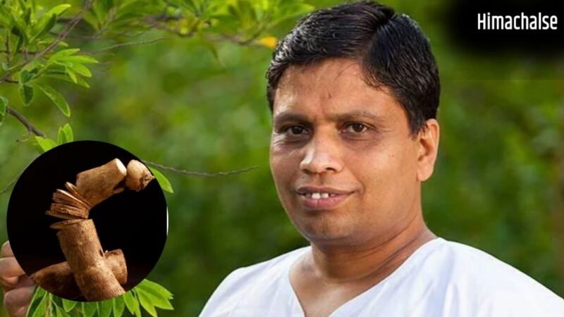 आचार्य बालकृष्ण ने बताया लटकी तोंद घटाने का आयुर्वेदिक तरीका, बस खाली पेट पीना शुरू कर दें इस जड़ का पानी​