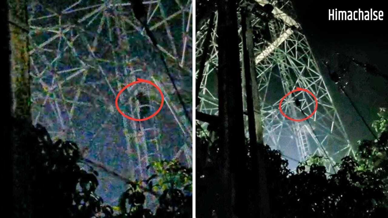 प्रेमिका के मम्मी-पापा बोले- हमें मंजूर नहीं ये रिश्ता… खाना-पीना छोड़ा, फिर सदमे में टॉवर पर जा चढ़ा प्रेमी​