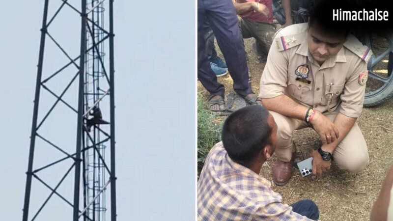 औरैया में मोबाइल टावर पर चढ़ा युवक, घंटों चला हाईवोल्टेज ड्रामा…जमीनी विवाद में हुआ था चाचा से झगड़ा​