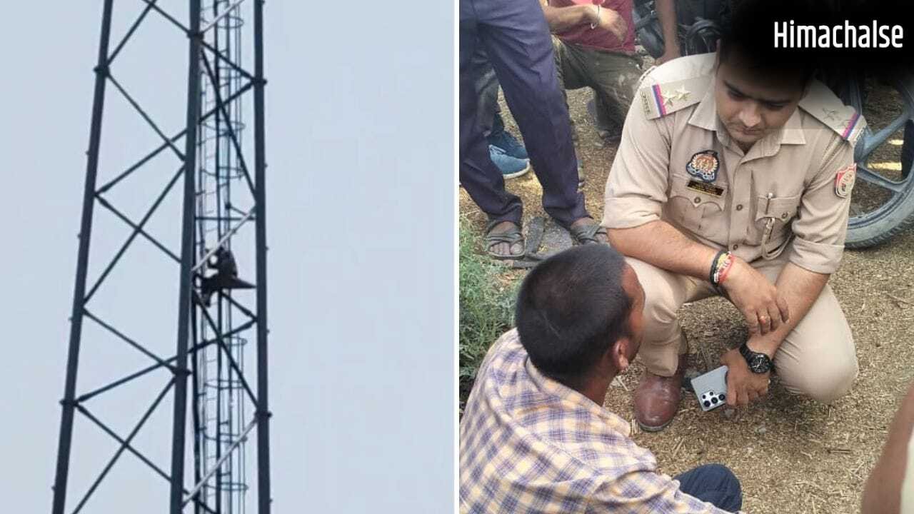 औरैया में मोबाइल टावर पर चढ़ा युवक, घंटों चला हाईवोल्टेज ड्रामा…जमीनी विवाद में हुआ था चाचा से झगड़ा​