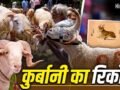 Bakrid Qurbani: न सऊदी, न पाकिस्तान, बकरीद पर सबसे ज्यादा कुर्बानी देने वाला देश कौनसा?