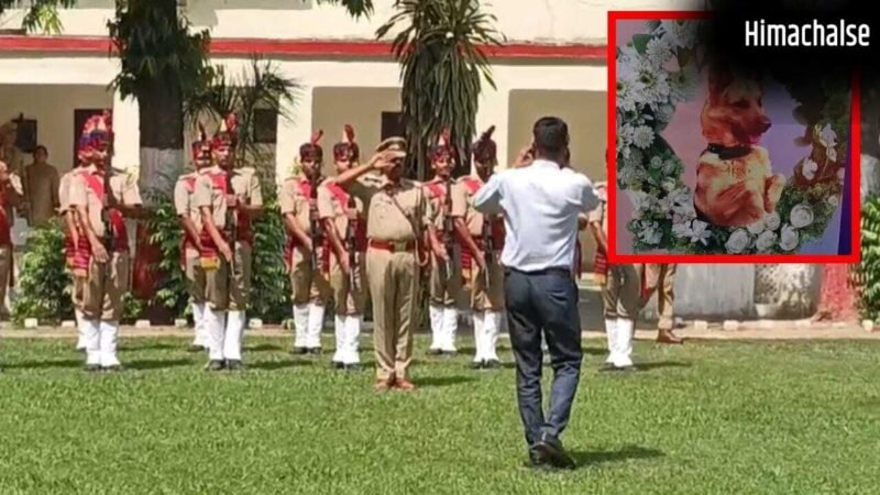 सैल्यूट इंस्पेक्टर ‘फेंग’… बरेली का साइको किलर केस सुलझाने वाला डॉग अब नहीं रहा, 9 महिलाओं का हुआ था मर्डर​