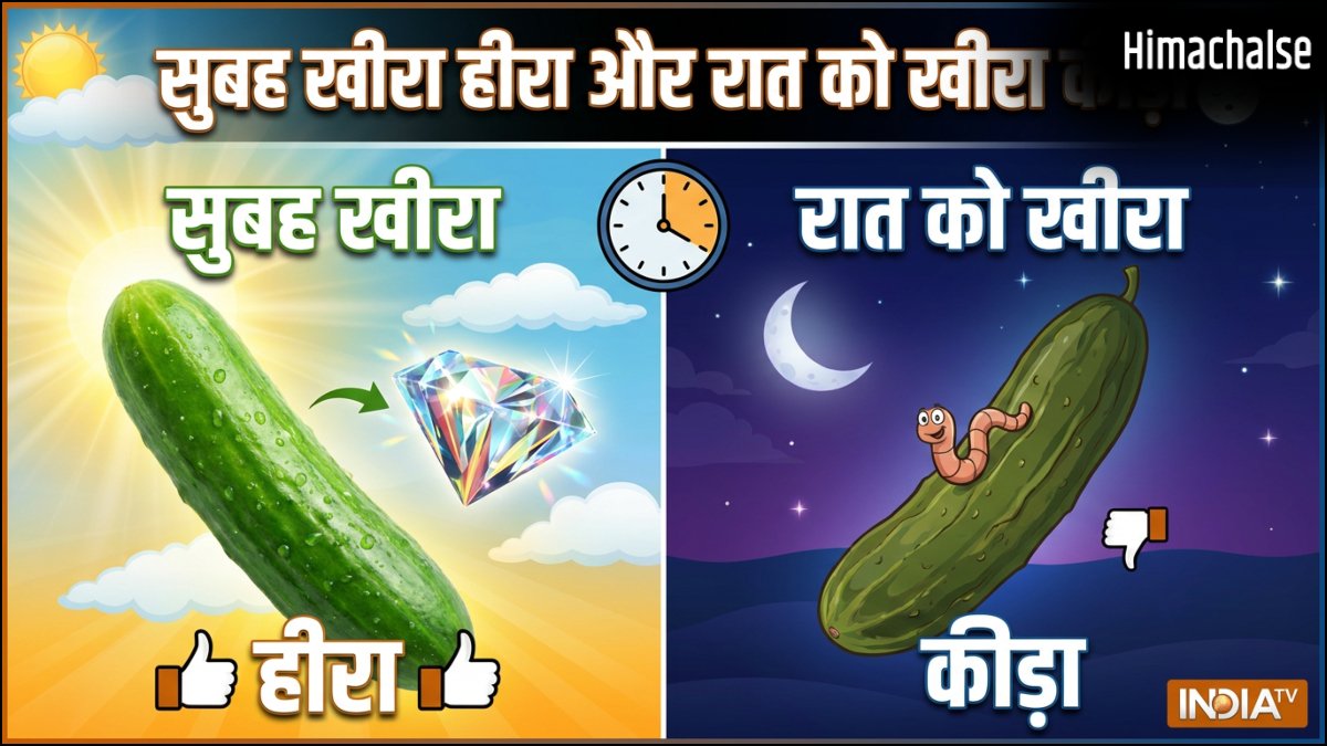 खीरा सुबह को हीरा, दोपहर को जीरा, रात को कीड़ा, जानिए ऐसा क्यों कहा जाता है​