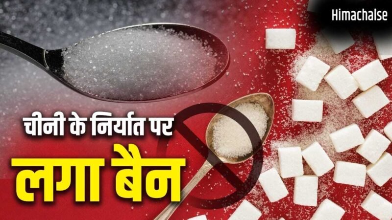 Sugar Export Ban: देश को सबसे ज्यादा चीनी देने वाला राज्य कौन सा? UAE-इंडोनेशिया तक डिमांड​