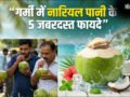 गर्मी में नारियल पानी पीने के 5 जबरदस्त फायदे, प्राकृतिक अमृत के समान करता है काम