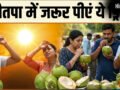 नौतपा में दिन में 1 बार जरूर पीएं ये ड्रिंक, लू लगने से बच जाएंगे, भीषण गर्मी भी कुछ नहीं बिगाड़ पाएगी