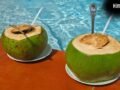 Summer Health Tip: पानी से लबालब नारियल कैसे चुनें? ये 5 'Golden Rules' आपको बचाएंगे​
