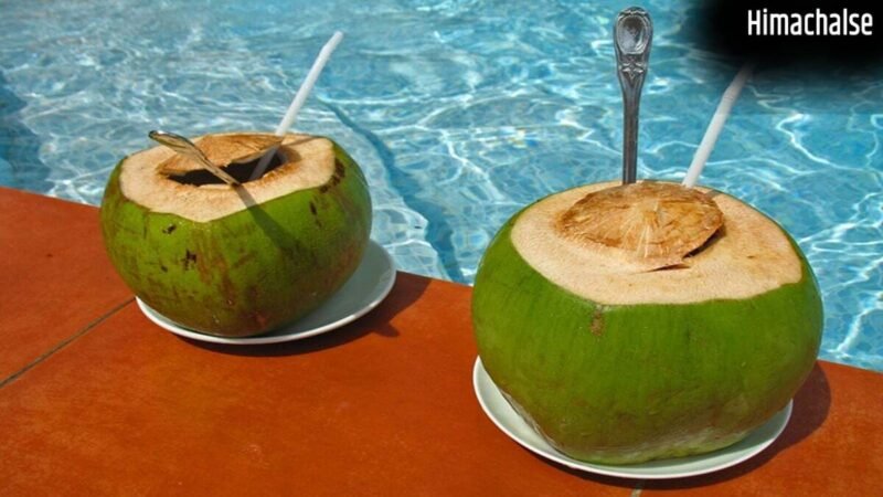 Summer Health Tip: पानी से लबालब नारियल कैसे चुनें? ये 5 'Golden Rules' आपको बचाएंगे​