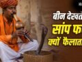 Snake Charmer Myths: क्या सपेरा बीन की आवाज से सांप को मदहोश कर देता है? यहां समझें पूरा सच​