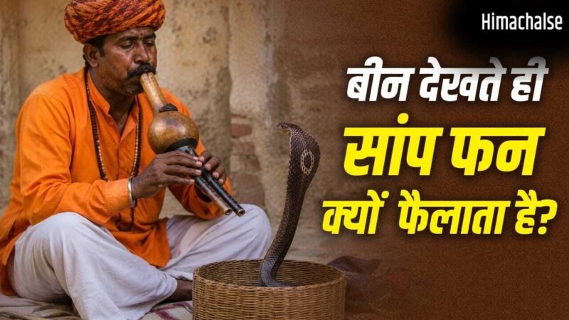 Snake Charmer Myths: क्या सपेरा बीन की आवाज से सांप को मदहोश कर देता है? यहां समझें पूरा सच​
