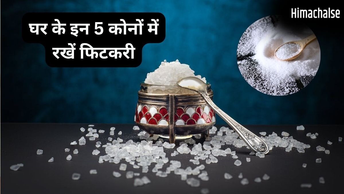 Vastu Totka: पैसा नहीं टिकता? घर के इन कोनों में रख दें ये सफेद चीज, हमेशा भरा रहेगा बैंक बैलेंस!​