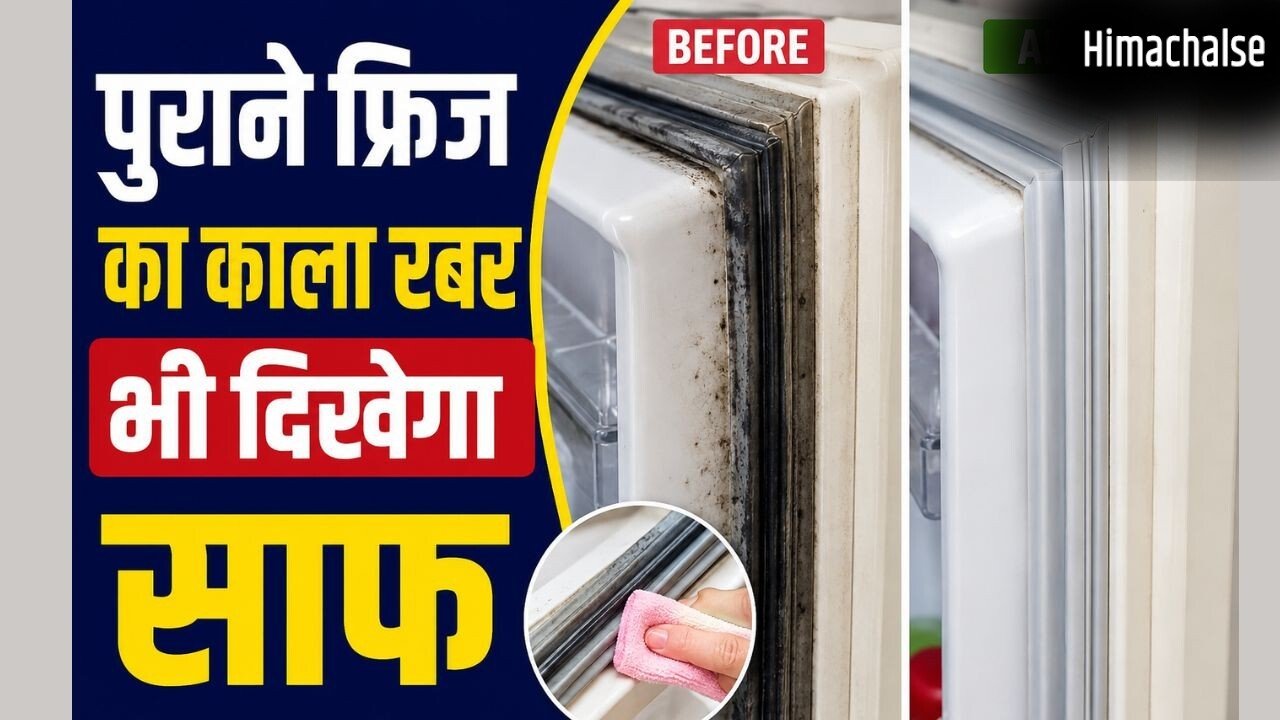 फ्रिज के दरवाजे का रबर हो गया है गंदा? बिना नुकसान ऐसे करें सफाई