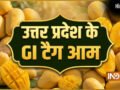 उत्तर प्रदेश के इन आम को मिल चुका है GI टैग, देश विदेश में है मांग, शहद सा मीठा होता है स्वाद​
