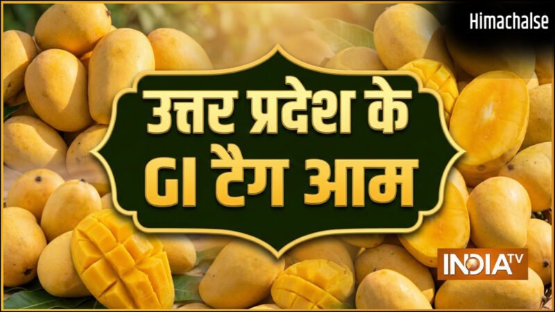 उत्तर प्रदेश के इन आम को मिल चुका है GI टैग, देश विदेश में है मांग, शहद सा मीठा होता है स्वाद​