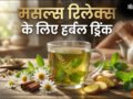 एक्सरसाइज के बाद मसल्स को रिलेक्स करने के लिए क्या पीना चाहिए, ये हर्बल ड्रिंक करते हैं मांसपेशियों की मरम्मत​