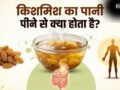किशमिश का पानी पीने से क्या होता है, इन लोगों के लिए है अमृत समान, मिलेंगे जबरदस्त फायदे​