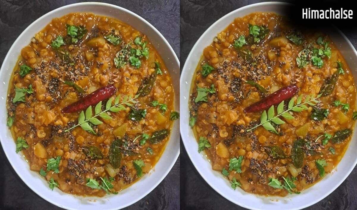 Lauki Dahi Tikhari Recipe: Summer में पेट को देगी ठंडक, ट्राई करें लौकी की यह Healthy और टेस्टी Special डिश​