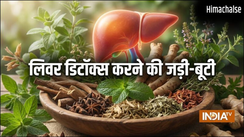 लिवर डिटॉक्स के लिए क्यों बेस्ट है मई का महीना, शरीर से सारा ज़हरीला पदार्थ बाहर निकल जाएगा, करें ये उपाय​