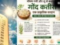 गर्मियों का ‘अमृत’ है गोंद कतीरा, लेकिन क्या आप भी कर रहे हैं ये बड़ी भूल? एक्सपर्ट से जानिए सही तरीका और फायदे​