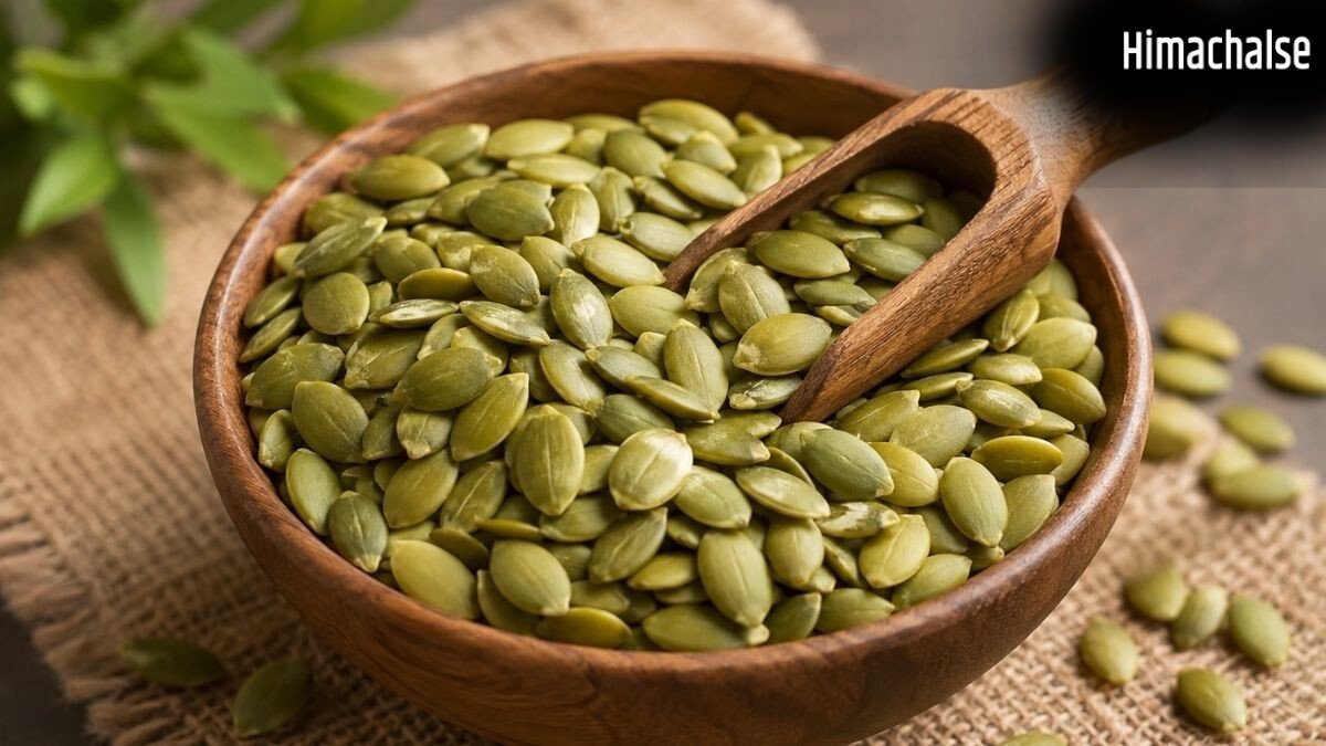Summer Diet: क्या गर्मियों में कद्दू के बीज (Pumpkin Seeds) खाना सुरक्षित है? वैलनेस एक्सपर्ट हंसाजी योगेंद्र से जानिए सही नियम और तरीके​
