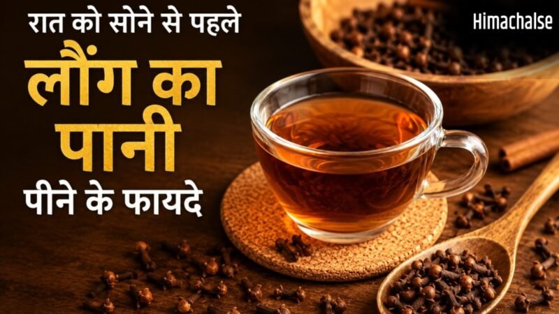 रात को सोने से पहले लौंग का पानी पीने से दूर होती हैं सेहत से जुड़ी ये समस्याएं, जानें कैसे बनाएं?​