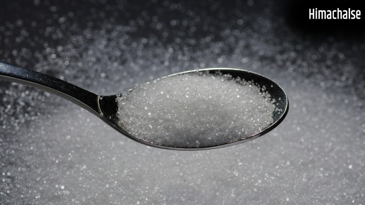Sugar का हेल्दी विकल्प हैं ये Natural Sweeteners, मिठास के साथ सेहत रहेगी बेहतरीन​