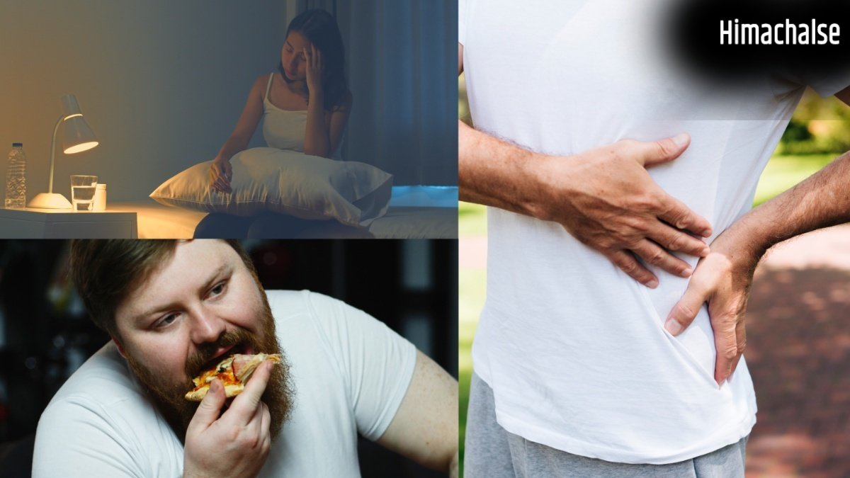 देर रात तक जागने और खराब डाइट से किडनी को होता है बहुत ज़्यादा नुकसान, जानें एक्सपर्ट की राय?​